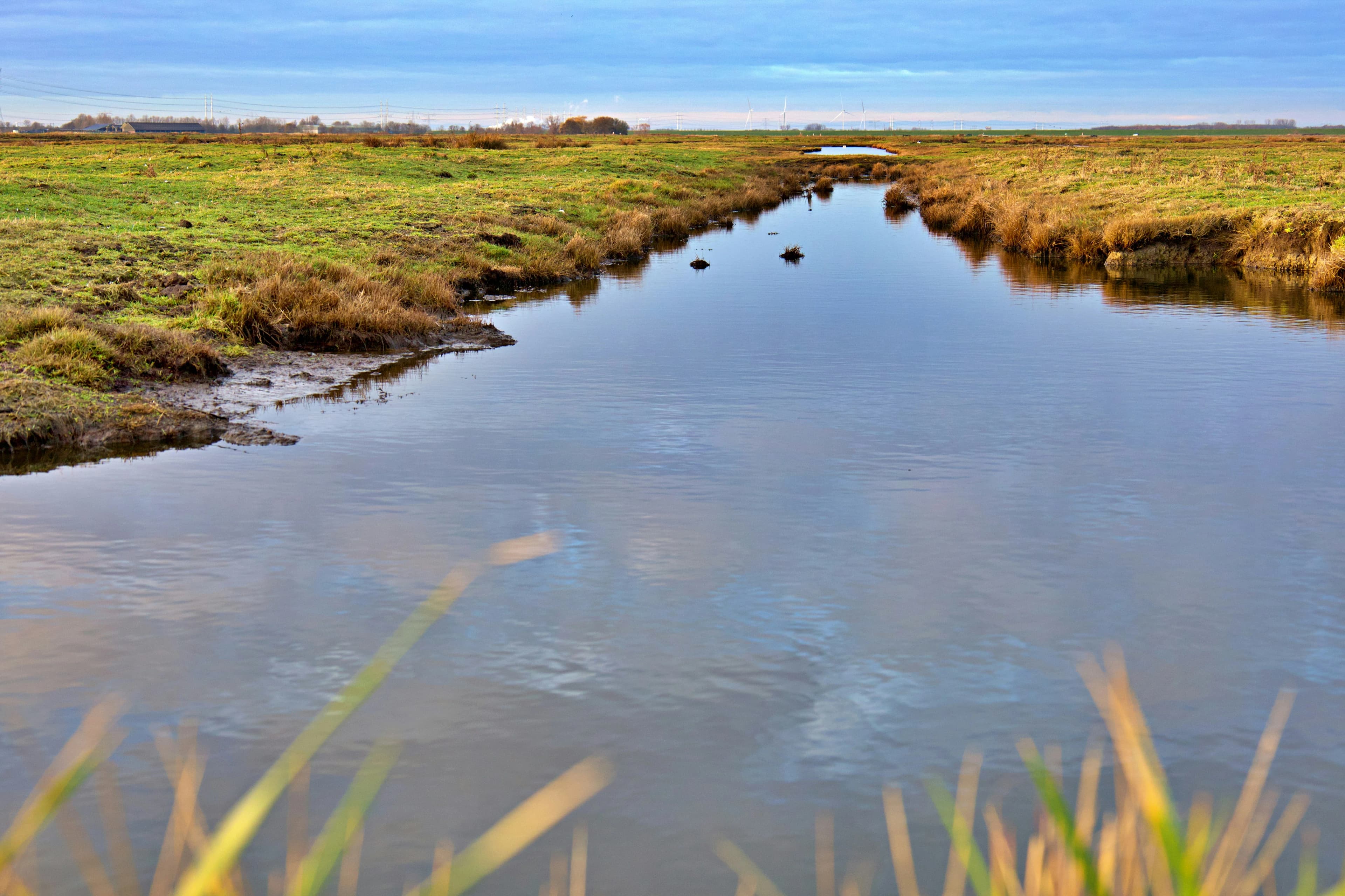 Calm river flowing through grassy fields under a cloudy sky.