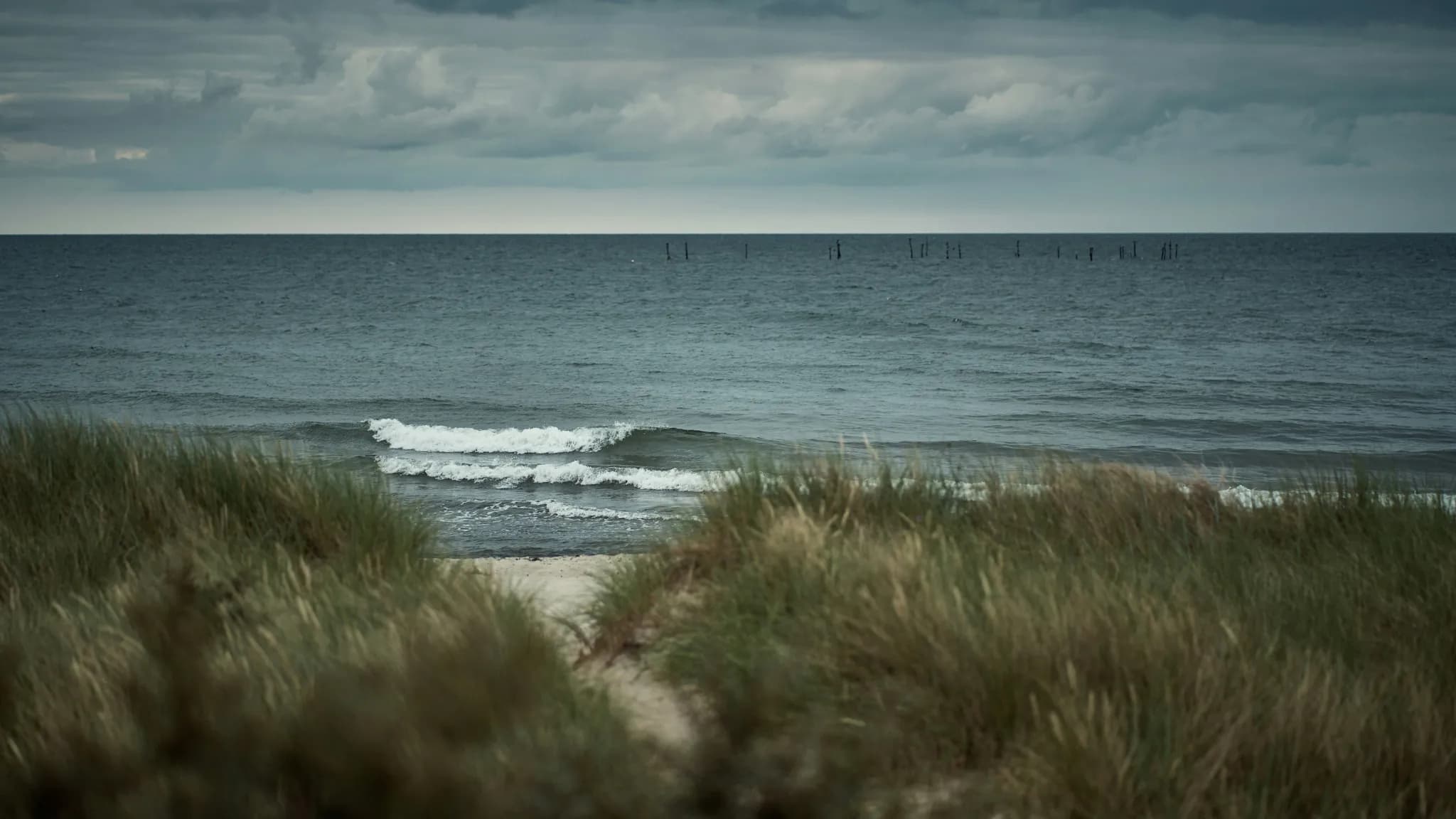 a view of a body of water from a beach