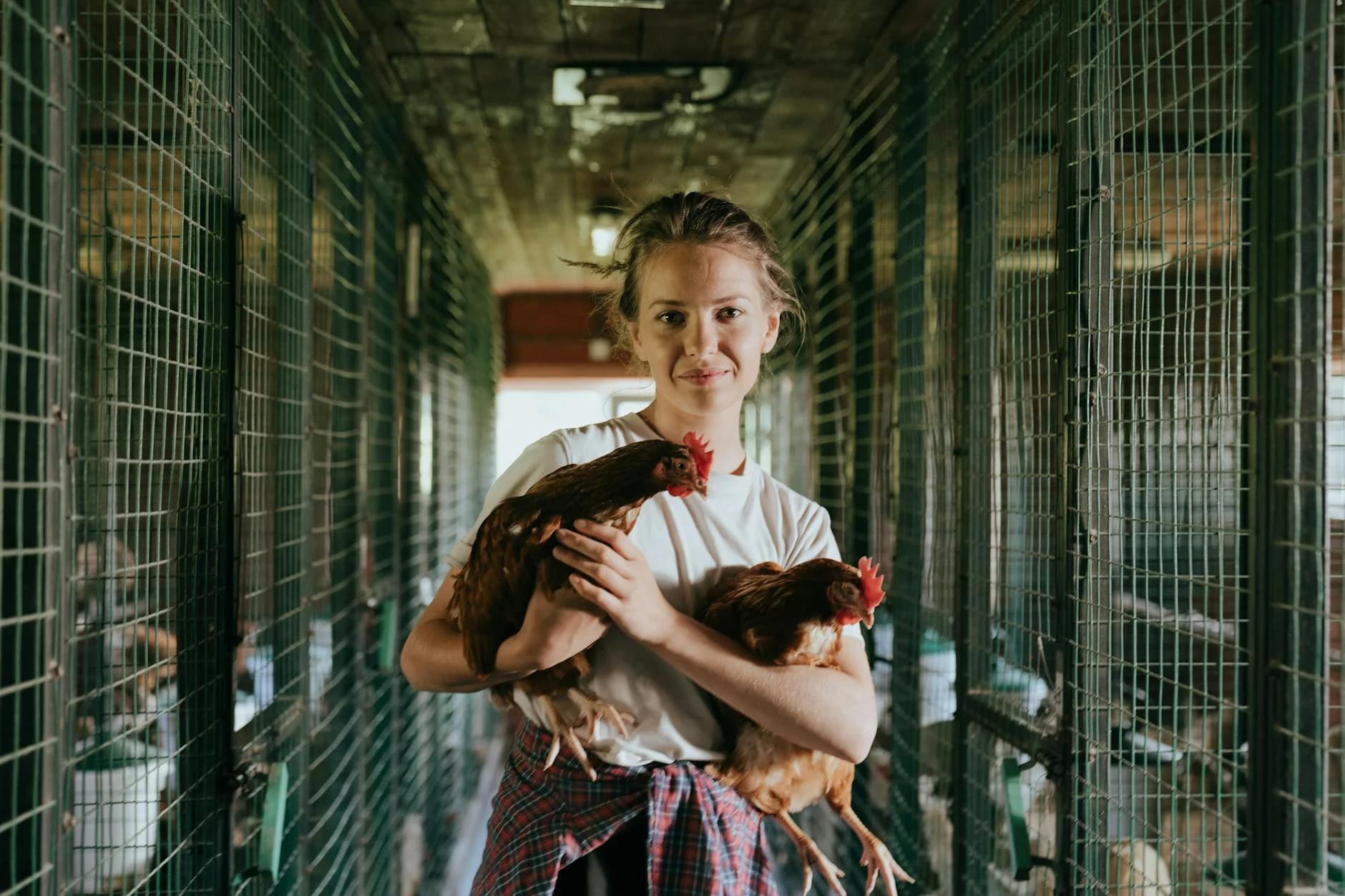A young woman standing in a chicken coop holding two hens, showcasing farm life.